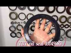 Уплотнение масла случая 133.36*187.5*24 на OEM 10045884 цапфы CONMET/3104081-T38A0/10045884 video