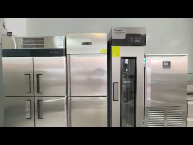 Quick Freezing Small Iqf Machine Industrial Refrigerator Freezer For Restaurant