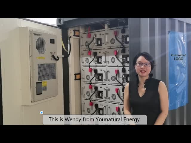 250Kwh 商用別荘 ソーラー ハイブリッド ソーラー バッテリー 貯蔵容器 5フィート