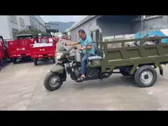 200cc 2m Cargo Motor Tricycle Manual Clutch Water Cooled Delivery Bike