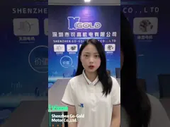 мотор вакуума Dc мотора 18-30V пылесоса Dc 400W безщеточный video