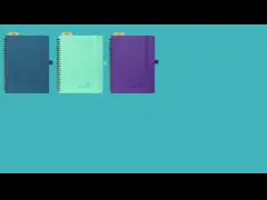 Плановик пинка FSC большой академичный с распространением 2 страниц ежемесячным еженедельным video