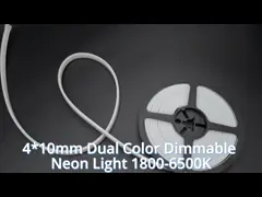 Неоновым прокладка приведенная приведенная гибким трубопроводом 24V цвета веревочки гибкого трубопровода светлым двойным неоновым привела света гибкой трубы video