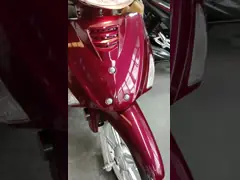 12v 5ah CUB Motorcycle Automatic Clutch 110cc Pit Dirt Bike Honda 125cc motorcycle