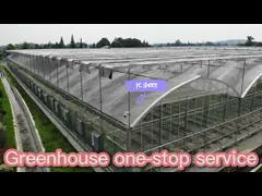 मल्टी-स्पैन ग्रीनहाउस