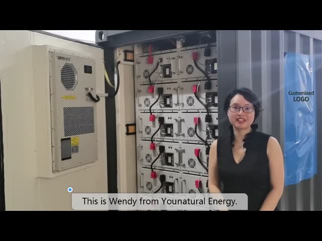 Генератор чистой системы UPS иона лития батареи 12V 80AH UPS волны синуса Lifepo4 портативный