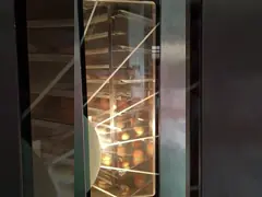 Печь электрического газа печи выпечки хлеба 32 подносов роторная для печь производства продуктов питания video