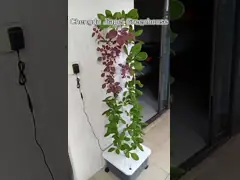 हाइड्रोपोनिक टावर