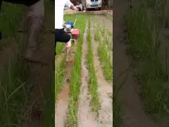 Multi-function Weeder