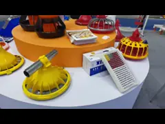 Chicken Feeding Line 50-100 Chickens/hour ±2g Accuracy for Poultry Nutrition