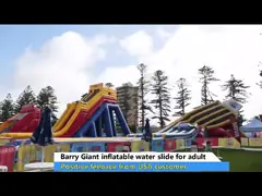 Erstaunliches großes aufblasbares Dia/riesiges aufblasbares Pool-Dia für Kind