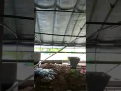 1g-99g Оборудование для кормления птицы Автоматическая система подачи птицы video