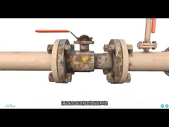 Customized OEM SS316L 304 Stainless Steel Y Strainer For Water video