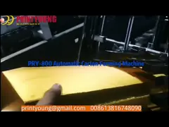 Коробка плода слесаря по монтажу коробки бумаги PRY-800 формируя машину с мотором сервопривода video