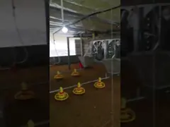 Автоматическая система кормления птицы из ПВХ Автоматическая кормушка для бройлеров video