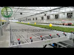 मल्टी स्पैन ग्लास ग्रीनहाउस