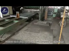Steel plate/sheet