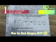 CE Dengue Antigen DEN NS1 Rapid Test Kit Cassette For Whole Blood Serum Plasma