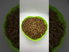 Dried mealworm