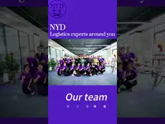company team