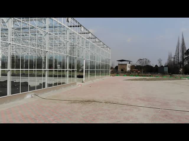 Estufas de vidro transparente retangular com alta durabilidade