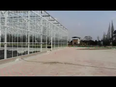 Rectangular Transparent Glass Greenhouse With High Durability video