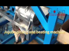 50 T/D Automatic Apple Processing Production Line SUS404 One Stop Service