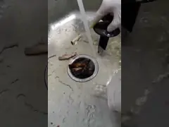 2800r/Min 200*200*400mm Food Waste Disposer With Optional Switch