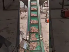 Лепешка дистанционного управления машины мельницы лепешки автоматизации делая машину 1-3ton/H video