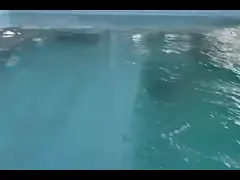 Заводская цена Tesia Сборный пользовательский 20-футовый 40-футовый контейнер для перевозки плавательный бассейн