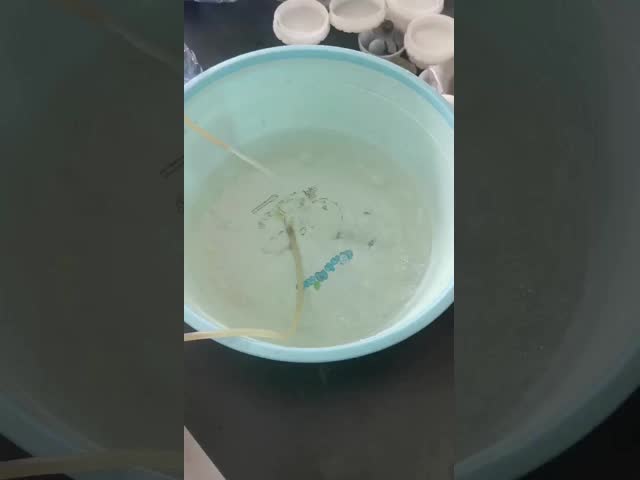 Bomba de engrenagem cerâmica diminuta avançada para transportar o sangue dos líquidos para a máquina de enchimento