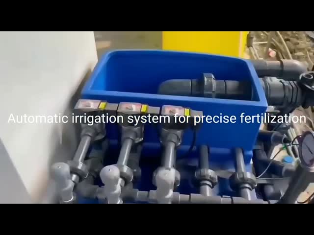 7.5kw/11kw 自動作業 温室用品 灌?? システム 自動肥料