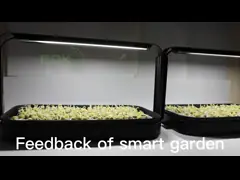 Черная трава 6400k для выращивания в помещении 16w US EU AS Seeds Garden Starter Kit video