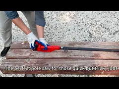 Батареи достигаемости цепной пилы поляка 8 дюймов пила длинной высокой бесшнуровой подрезая video