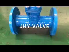 F5 DIN3202 Неподнимающийся ствол дверного клапана для промышленных применений video