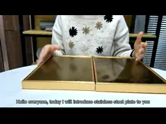 Серебряный почищенный щеткой OEM декоративных плит Ss 201 304 сертификат 316 SGS video