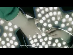 Устранимые всеобщие линейные аппаратуры эндоскопии video