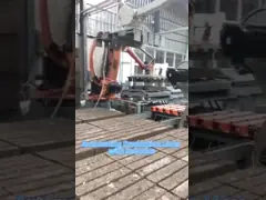 ABB Palletizing Robot Arm IRB6700-300/2.7 Robotic Arm Work With CNC Machine