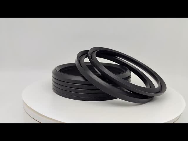 優秀な付着FKMゴム製Vリング シリコーン ゴムのシール リングの反塵のシーリング リング