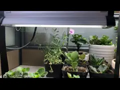 1.8μmol/J 6400k приведенное для того чтобы вырасти светлый video