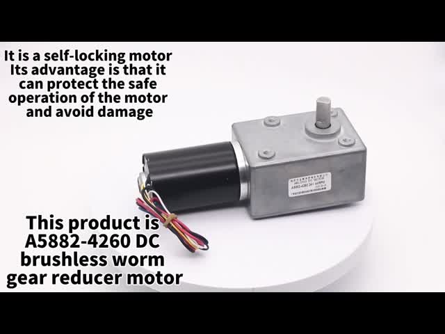 Aslong A5882-4260 24v 11-195rpmのタービンみみずの減少モーターDcの減少モーター高いトルクの低速モーター