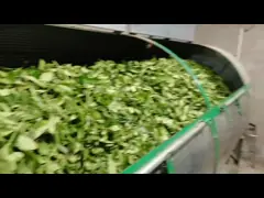 good quality black tea