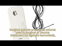 Сутуры стерильного Absorbable моноволокна полипропилена нейлона кетгута равнины метахромового хирургические с иглой video