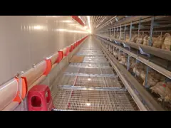 Customized Poultry Chicken Cage Q235 Galvanized With Accessories