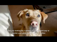 Ветеринарный оксиметр Spo2 Монитор с TFT LCD экраном для мониторинга и диагностики video