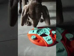 Шар собаки головоломки фидера Xxl Xl медленный для забавных игр любимца щенка французского бульдога забавляется PP никакая деформация video