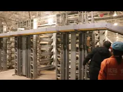 Automatic Egg Quail Cage For 6 Tier Cage Capacity 200000 Quail Per Farm
