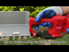 Машина рудоразборки чая жатки чая батареи лития перезаряжаемые небольшая video