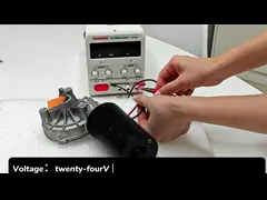 How to use the worm Gear motor?