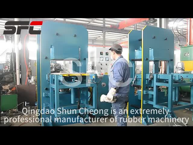 Customized Two-Way Sliding Mold Curing Press/Car Foot Mat Making Plant